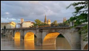 a bridge over a river with a city in the background at Casa Eladia in Logroño