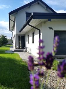 ホロシュチにあるRestiの紫花の白い家