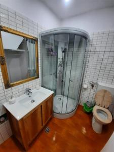 a bathroom with a shower and a sink and a toilet at Republicii Apartment in Braşov