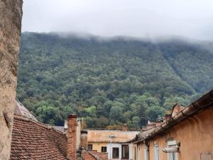 uma montanha à distância com casas e árvores em Republicii Apartment em Braşov