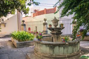 une fontaine dans la cour d'une maison fleurie dans l'établissement Casa Lupita Hostel, à Guanajuato