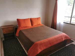 1 dormitorio con 1 cama con almohadas de color naranja y ventana en Hostel Coati Place Bed & Breakfast Adults Only, en Monteverde