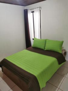 1 dormitorio con cama verde y ventana en Hostel Coati Place Bed & Breakfast Adults Only, en Monteverde