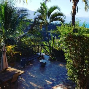 d'une terrasse avec des palmiers et une vue sur l'océan. dans l'établissement Suites Canto dos Passaros, à Ilhabela