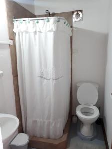 y baño con aseo y cortina de ducha. en Tierra De Mestizos en Villa La Angostura