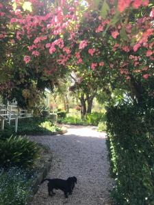 Gallery image of Quamby Homestead in Woolsthorpe