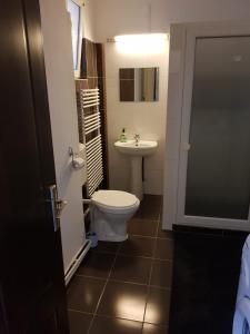 uma casa de banho com um WC e um lavatório em Apartament 12 Central em Târgu-Mureş