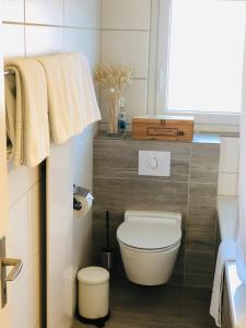 a small bathroom with a toilet and a sink at S&P Mountain View Apartment 2 in Wilderswil