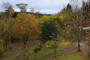 einen Blick auf einen Wald mit einem Wasserturm im Hintergrund in der Unterkunft Sun apartments in Anykščiai