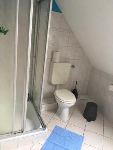a small bathroom with a toilet and a shower at Zwischen den Feldern in Brebel +7 photos