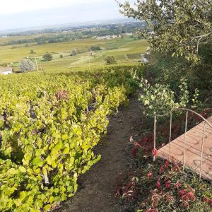 ヴィリエ・モルゴンにあるFoudres du Chêne du Pyのギャラリーの写真