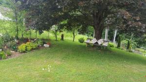 Zahrada ubytování Gästehaus Jeindl
