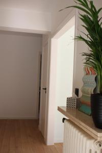 a plant sitting on top of a fireplace in a room at Appartement Knokke, vlakbij het strand en winkels in Knokke-Heist
