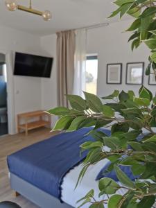 ein Schlafzimmer mit einem blauen Bett und einer Pflanze in der Unterkunft Casa das Portas in Azinhaga