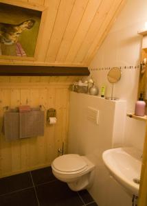 a bathroom with a toilet and a sink at Bed & Breakfast De Stippelberg in Rips