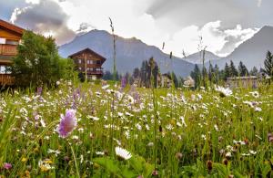 Foto dalla galleria di Hotel Lenzerhorn a Lenzerheide