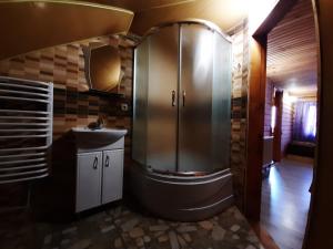 a bathroom with a shower and a sink at Прутець in Mykulychyn
