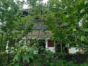 Zahrada ubytování Ferienhaus Frankenglueck