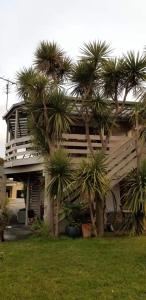 a house with two palm trees in front of it at Apollo Stay in Apollo Bay
