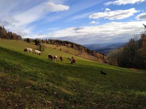 Paesaggio naturale nelle vicinanze dell'appartamento