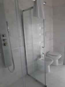 La salle de bains est pourvue d'une douche en verre et de toilettes. dans l'établissement Appartamento Via Gentile, à Foggia