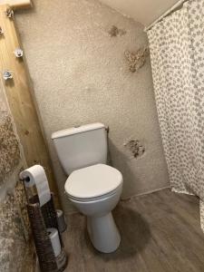a bathroom with a white toilet and a shower at L'Atelier de Marie in Eyguières