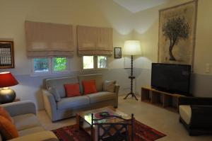 a living room with a couch and a television at La Bégude Du Pascouren in Fayence