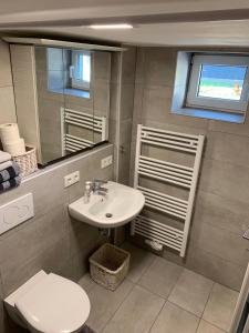 W łazience znajduje się umywalka, toaleta i lustro. w obiekcie Joanna Apartment - MA Casterfeld w mieście Mannheim