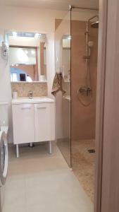 a bathroom with a shower and a sink and a toilet at Gite D'Elnon-Libre in Saint-Amand-les-Eaux