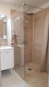 a shower with a glass door in a bathroom at Gite D'Elnon-Libre in Saint-Amand-les-Eaux
