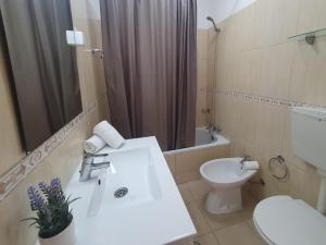 クアルテイラにあるT1 Praiamar 3 Vista Fabulosaのバスルーム(洗面台、トイレ、シャワー付)