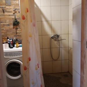 a shower curtain with a washing machine in a bathroom at Lauku māja Riesti 