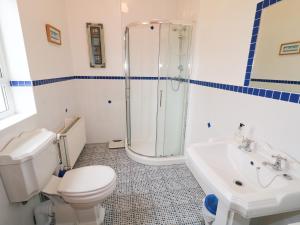 a bathroom with a toilet and a shower and a sink at Ard an Phíobaire in Doirí Beaga