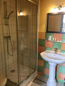 a bathroom with a shower and a sink at Hotel Magdeleine in Romans-sur-Isère