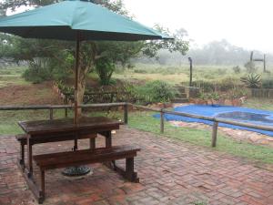 una mesa de picnic con una sombrilla junto a una piscina en Deer Cottage, en Kirkwood