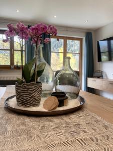 TV a/nebo společenská místnost v ubytování LakeSide Appartments