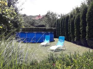 two blue chairs sitting in a yard next to a fence at Guest House Dimitrije in Niška Banja