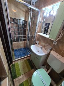 a bathroom with a shower and a toilet and a sink at VILA VALENCIA in Azuga