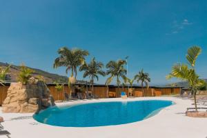 馬尼薩萊斯的住宿－Hotel Resort Del Cafe，棕榈树度假村内的游泳池