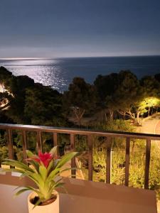 a plant in a pot on a balcony overlooking the ocean at Ático de diseño sobre la Cala de las Sirenas!! in Miami Platja