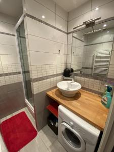 a bathroom with a washing machine and a sink at Boost Your Immo Le Césier Risoul 479 in Risoul