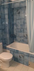 een blauwe betegelde badkamer met een toilet en een bad bij APARTMENT NATURA in Puigcerdà +29 foto's