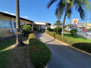 una calle con una palmera y un edificio en Hotel Ryad Express, en São Luís