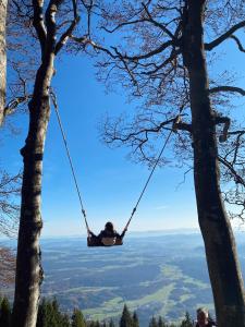 a person in a swing on a mountain at BeeWood apartment in Križe