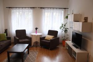 Televízia a/alebo spoločenská miestnosť v ubytovaní Apartman 825