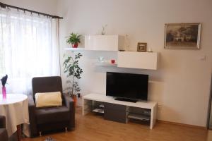 Televízia a/alebo spoločenská miestnosť v ubytovaní Apartman 825
