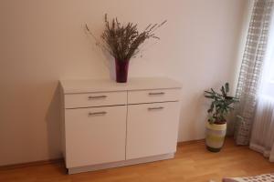 Fotografia z galérie ubytovania Apartman 825 v destinácii Jáchymov