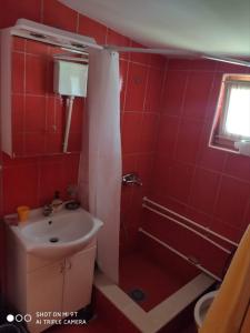 ein rotes Badezimmer mit einem Waschbecken und einer Dusche in der Unterkunft Suncevica Apartmani in Arilje