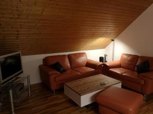 a living room with a couch and a tv at Waldblick in Schluchsee