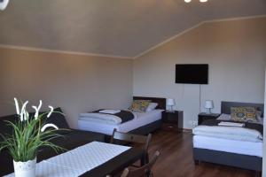 Afbeelding uit fotogalerij van Willa Amber Zakościele in Inowłódz